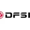 dfsk noleggio lungo termine